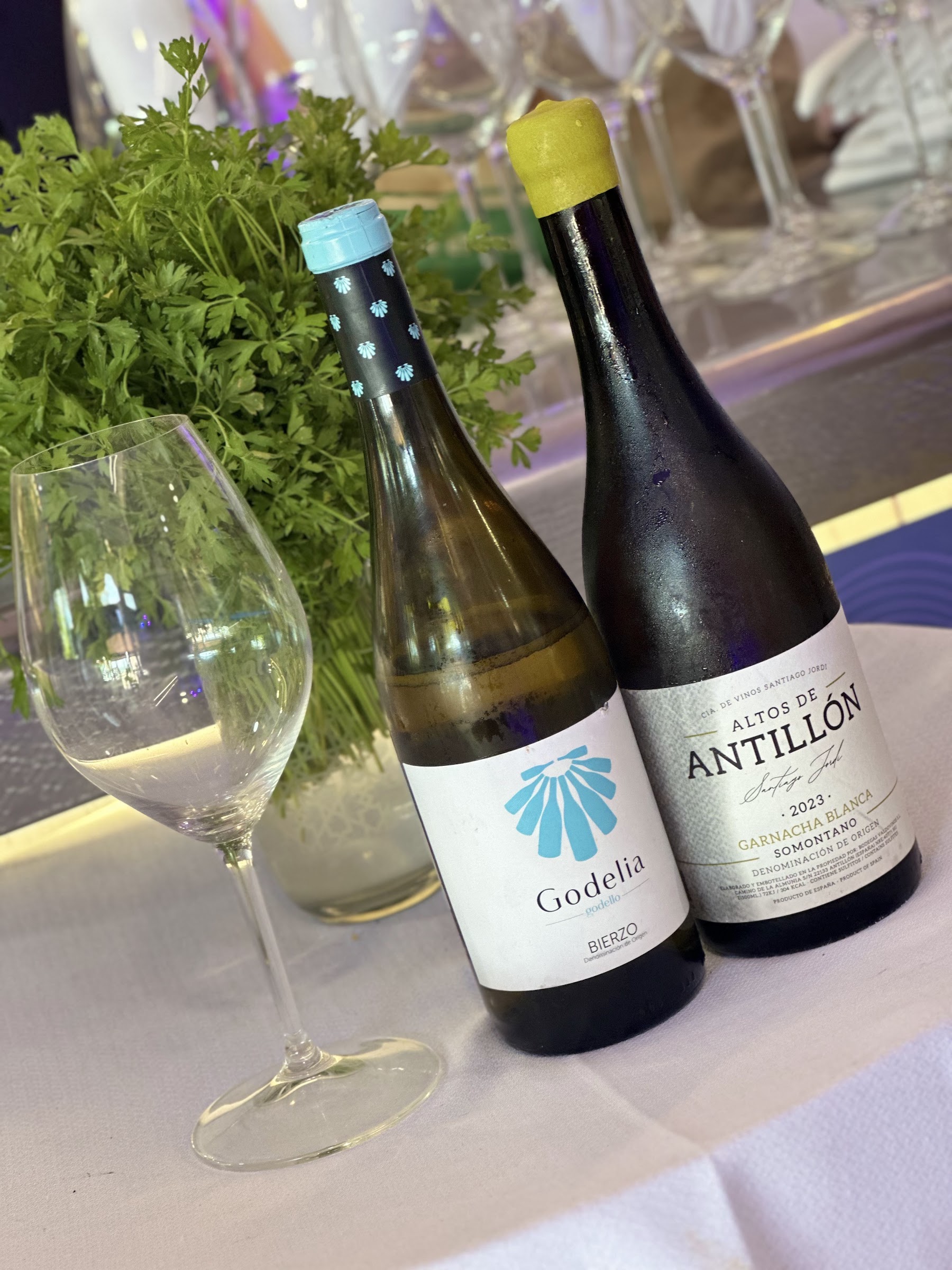 Selección de vinos de la bodega
